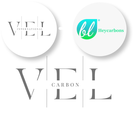 VEL, Gas Filtration, Clean Air Solutions, Air Quality, Air Purification, Filtration Experts, High-Quality Air Filters, Air Purification Products, Environmental Solutions, Industrial Air Filters, Home Air Cleaners